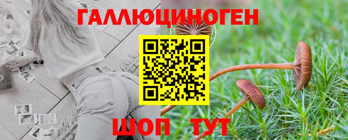 Галлюциногенные грибы MAGIC MUSHROOMS Петрозаводск