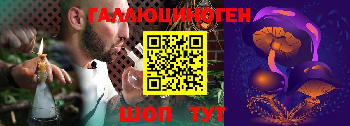 Галлюциногенные грибы прущие грибы  Псилоцибиновые грибы GOLDEN TEACHER  Петрозаводск  Вход с VPN 